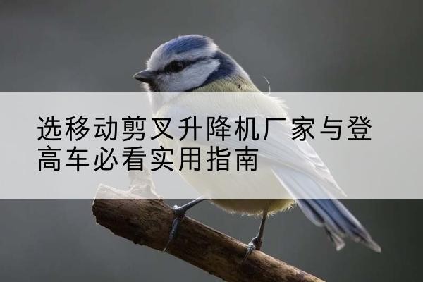 汾阳电动升降机厂家-选移动剪叉升降机厂家与登高车必看实用指南