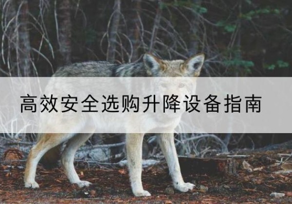 汾阳升降货梯厂家推荐-*安全选购升降设备指南